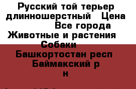 Русский той-терьер длинношерстный › Цена ­ 7 000 - Все города Животные и растения » Собаки   . Башкортостан респ.,Баймакский р-н